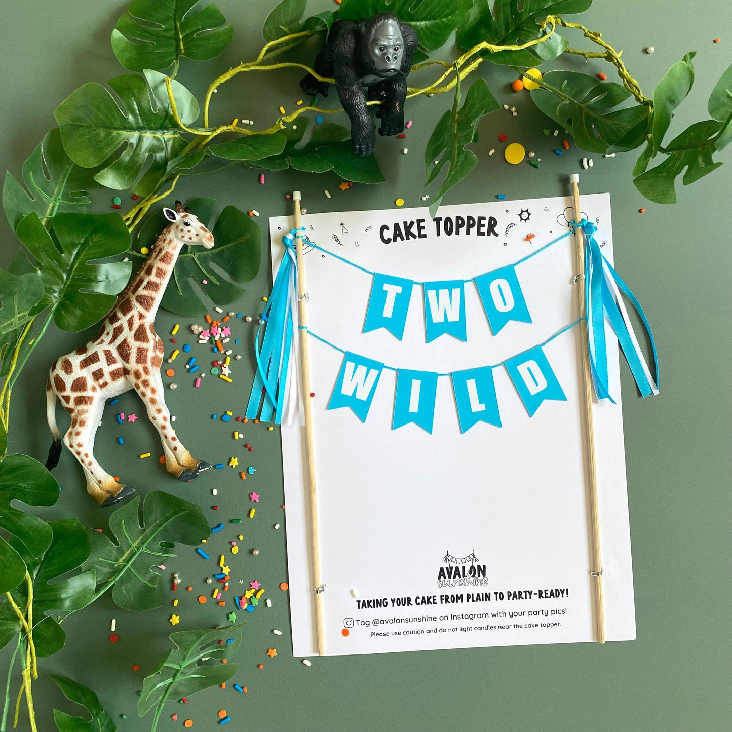turquoise TWO WILD theme birthday cake topper for 2nd birthday | personalized cake toppers by Avalon Sunshine