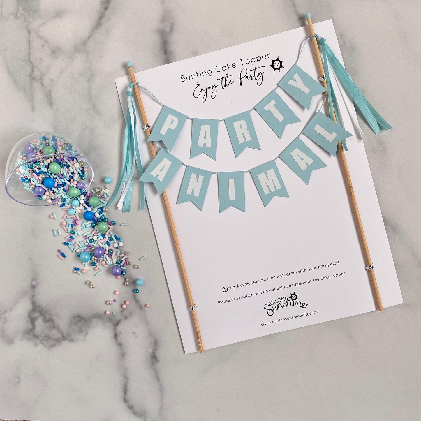 light aqua and white party animal cake topper