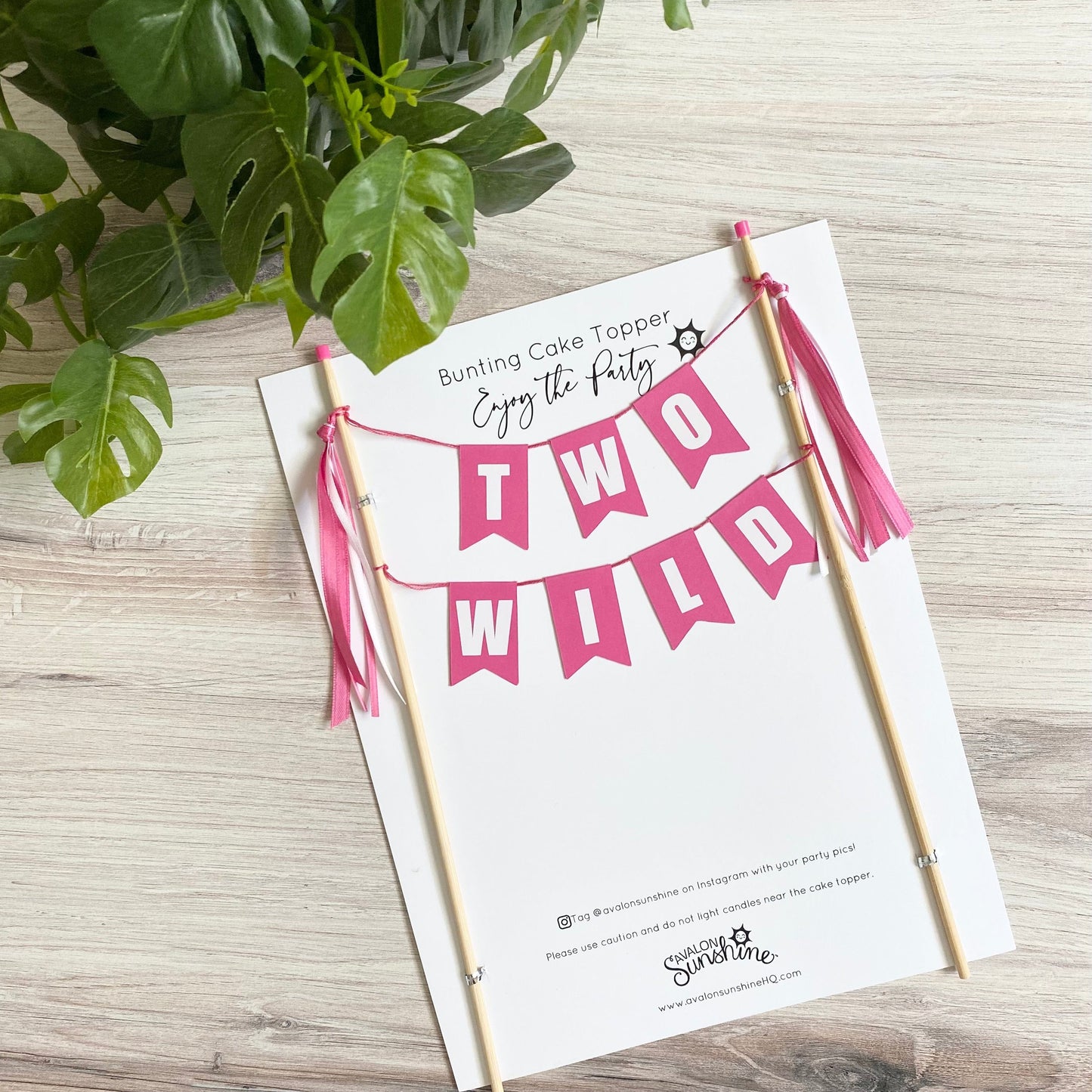 Pink TWO WILD cake topper for 2nd birthday cake | Personalized Cake Toppers by Avalon Sunshine