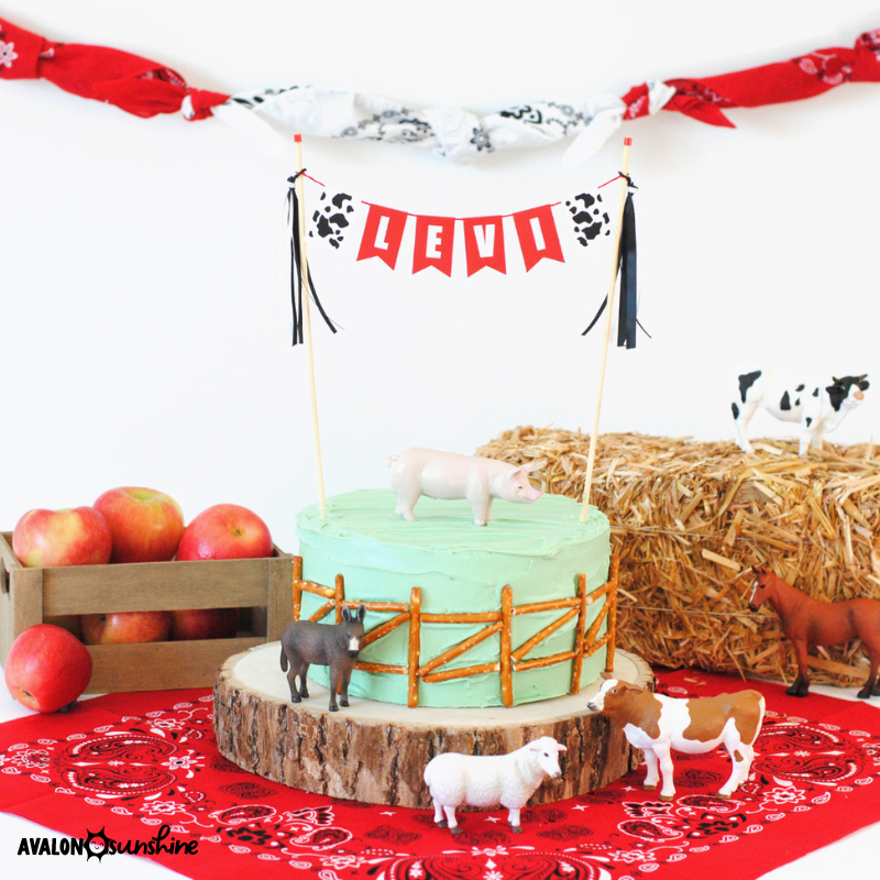 Easy Farm Birthday Party Ideas – Avalon Sunshine