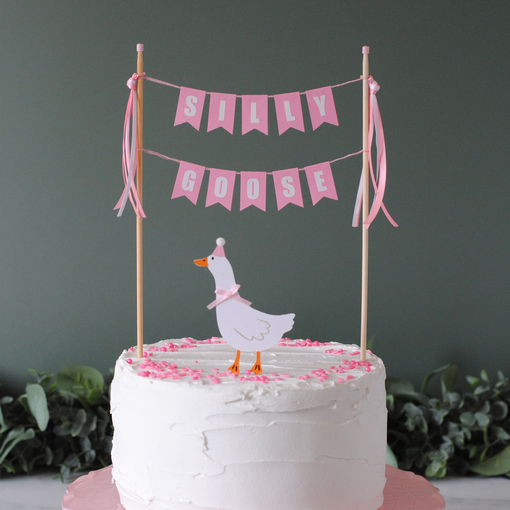 
                  
                    White cake with a goose topper and pink 'Sally Goose' banner on a dark background | cake topper by Avalon Sunshine

                  
                