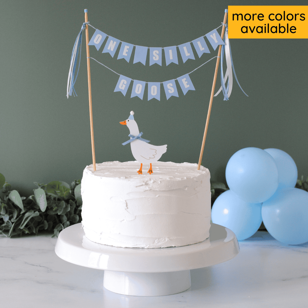 White cake with a goose topper in a party hat and light blue 'One Silly Goose' banner against a dark green background with balloons | cake toppers by Avalon Sunshine