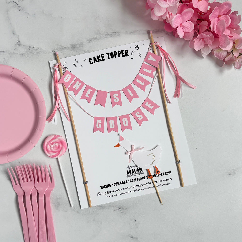 
                  
                    Cake topper with pink banner with wording ONE SILLY GOOSE and small paper goose on a stick. Shown on a marble surface with pink flowers and plates.
                  
                